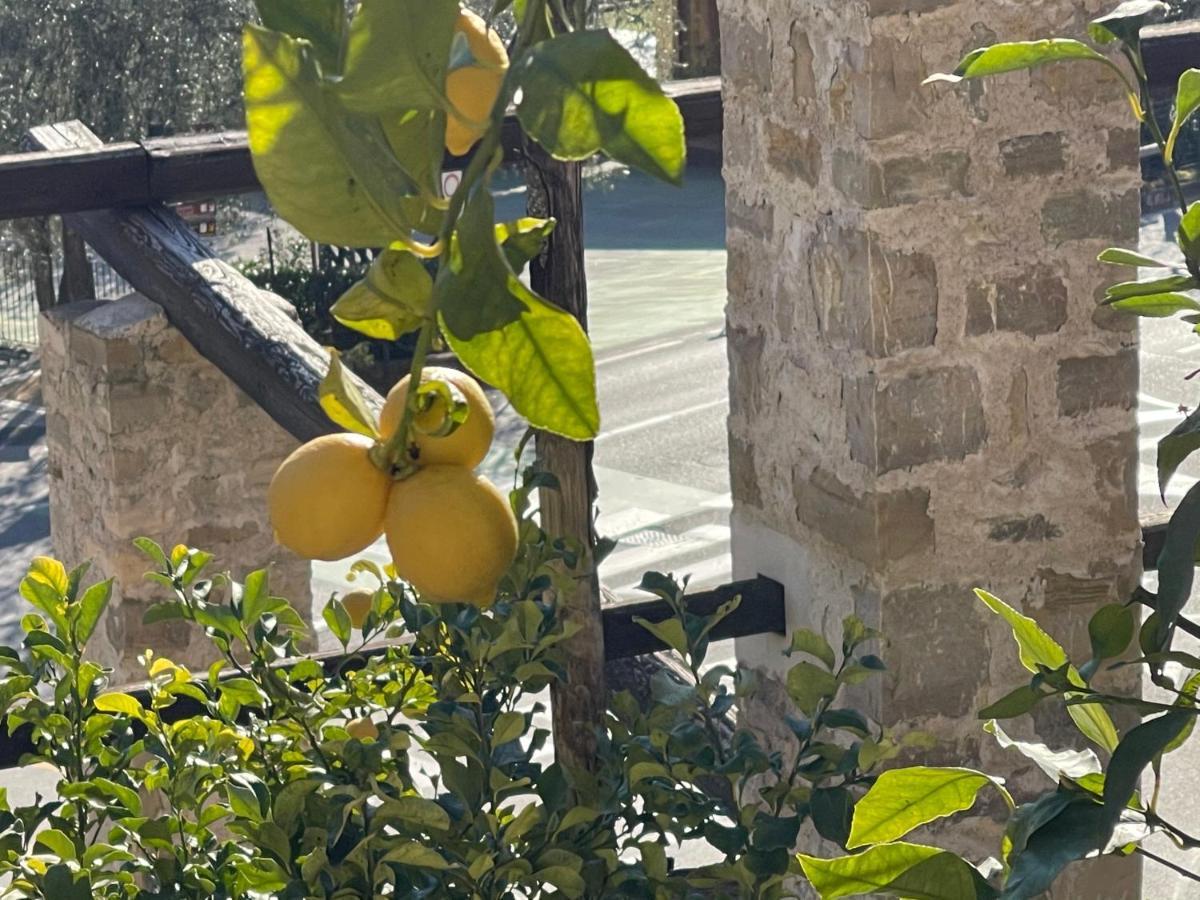 B&B Casa Limone Limone sul Garda Zewnętrze zdjęcie