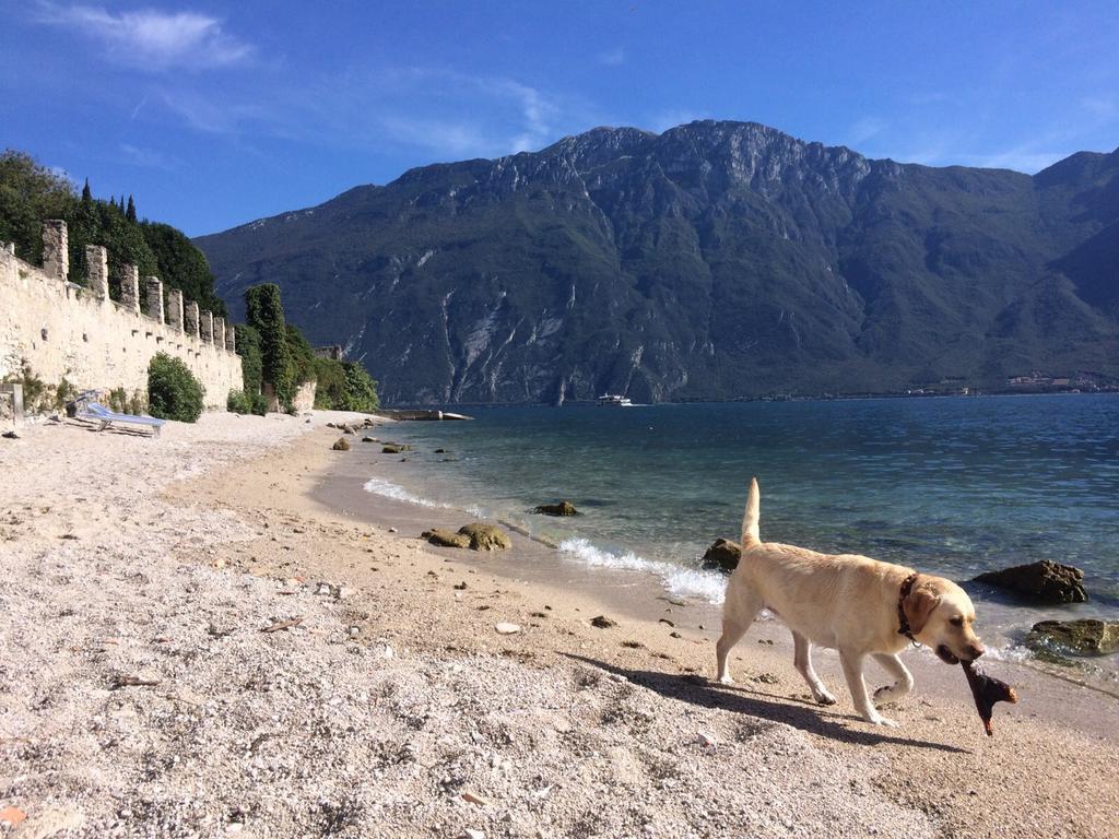 B&B Casa Limone Limone sul Garda Zewnętrze zdjęcie